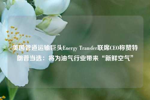 美国管道运输巨头Energy Transfer联席CEO称赞特朗普当选：将为油气行业带来“新鲜空气”