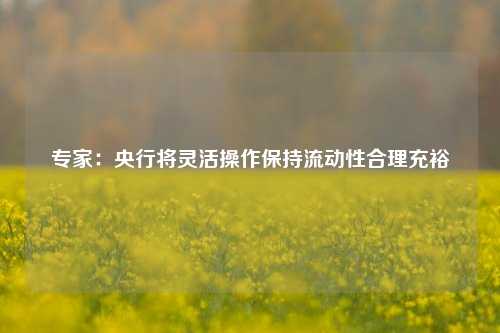 专家：央行将灵活操作保持流动性合理充裕