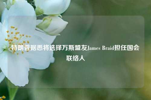 特朗普据悉将选择万斯盟友James Braid担任国会联络人