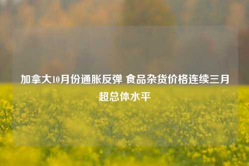 加拿大10月份通胀反弹 食品杂货价格连续三月超总体水平