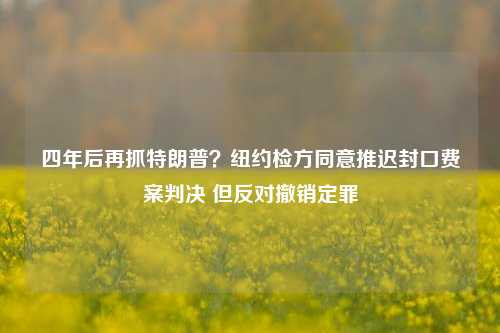 四年后再抓特朗普？纽约检方同意推迟封口费案判决 但反对撤销定罪