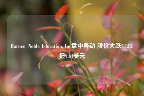 Barnes  Noble Education, Inc盘中异动 股价大跌5.12%报9.64美元