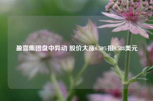 盈喜集团盘中异动 股价大涨6.50%报0.588美元