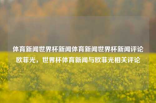 体育新闻世界杯新闻体育新闻世界杯新闻评论欧菲光，世界杯体育新闻与欧菲光相关评论