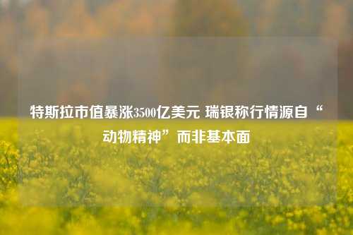 特斯拉市值暴涨3500亿美元 瑞银称行情源自“动物精神”而非基本面