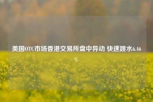 美国OTC市场香港交易所盘中异动 快速跳水6.46%