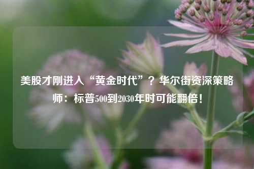 美股才刚进入“黄金时代”？华尔街资深策略师：标普500到2030年时可能翻倍！