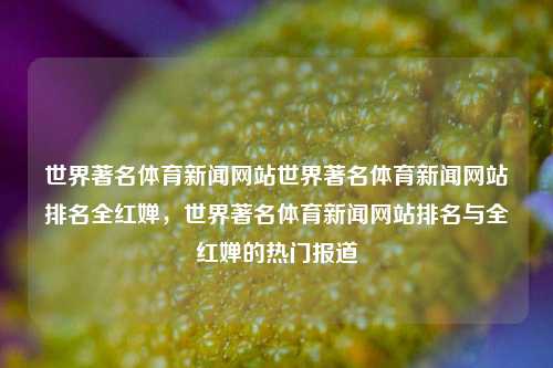 世界著名体育新闻网站世界著名体育新闻网站排名全红婵，世界著名体育新闻网站排名与全红婵的热门报道