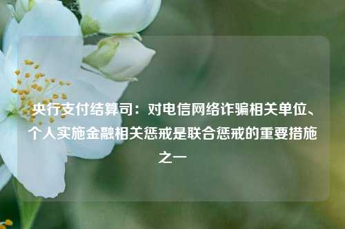 央行支付结算司：对电信网络诈骗相关单位、个人实施金融相关惩戒是联合惩戒的重要措施之一