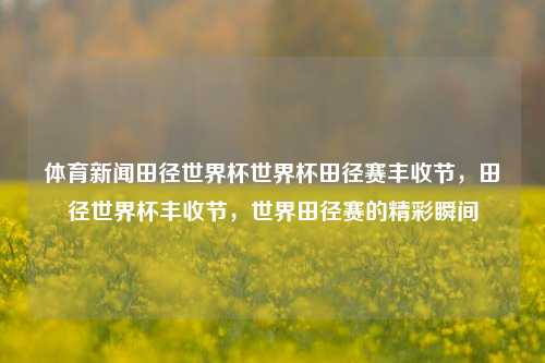 体育新闻田径世界杯世界杯田径赛丰收节，田径世界杯丰收节，世界田径赛的精彩瞬间