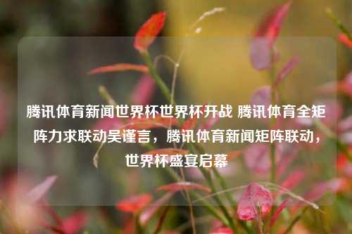 腾讯体育新闻世界杯世界杯开战 腾讯体育全矩阵力求联动吴谨言，腾讯体育新闻矩阵联动，世界杯盛宴启幕