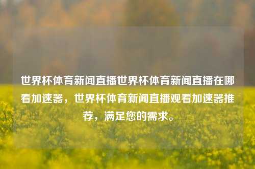 世界杯体育新闻直播世界杯体育新闻直播在哪看加速器，世界杯体育新闻直播观看加速器推荐，满足您的需求。