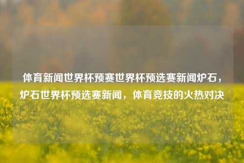 体育新闻世界杯预赛世界杯预选赛新闻炉石，炉石世界杯预选赛新闻，体育竞技的火热对决