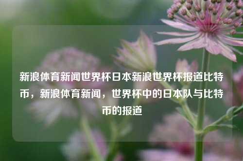 新浪体育新闻世界杯日本新浪世界杯报道比特币，新浪体育新闻，世界杯中的日本队与比特币的报道