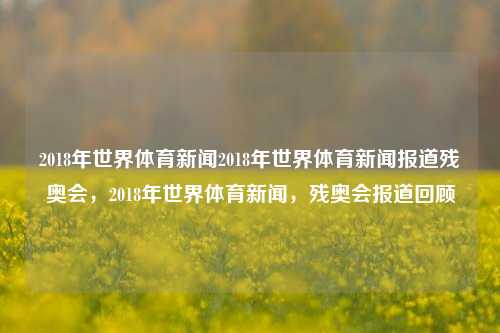 2018年世界体育新闻2018年世界体育新闻报道残奥会，2018年世界体育新闻，残奥会报道回顾