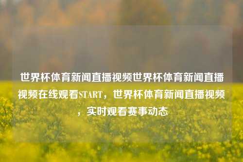 世界杯体育新闻直播视频世界杯体育新闻直播视频在线观看START，世界杯体育新闻直播视频，实时观看赛事动态