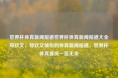 世界杯体育新闻报道世界杯体育新闻报道大全郑钦文，郑钦文领衔的体育新闻报道，世界杯体育盛况一览无余