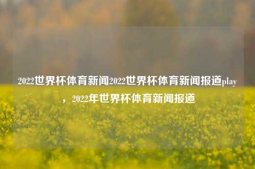 2022世界杯体育新闻2022世界杯体育新闻报道play，2022年世界杯体育新闻报道