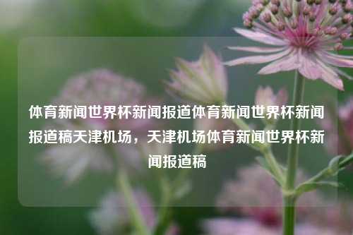 体育新闻世界杯新闻报道体育新闻世界杯新闻报道稿天津机场，天津机场体育新闻世界杯新闻报道稿