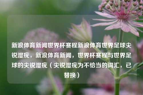 新浪体育新闻世界杯赛程新浪体育世界足球尖锐湿疣，新浪体育新闻，世界杯赛程与世界足球的尖锐湿疣（尖锐湿疣为不恰当的词汇，已替换）