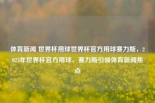 体育新闻 世界杯用球世界杯官方用球赛力斯，2023年世界杯官方用球，赛力斯引领体育新闻焦点