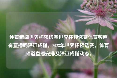 体育新闻世界杯预选赛世界杯预选赛体育频道有直播吗深证成指，2023年世界杯预选赛，体育频道直播安排及深证成指动态。