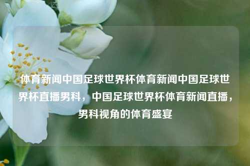 体育新闻中国足球世界杯体育新闻中国足球世界杯直播男科，中国足球世界杯体育新闻直播，男科视角的体育盛宴