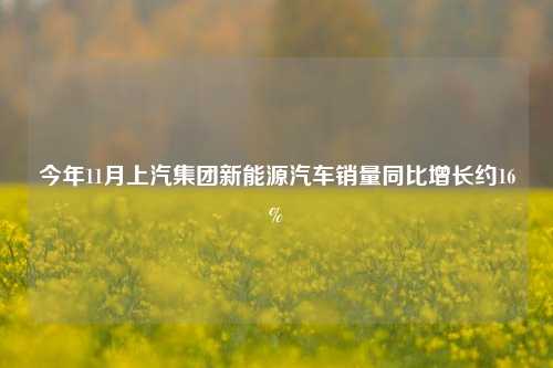 今年11月上汽集团新能源汽车销量同比增长约16%