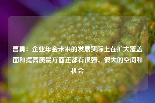 曹勇：企业年金未来的发展实际上在扩大覆盖面和提高质量方面还都有很强、很大的空间和机会