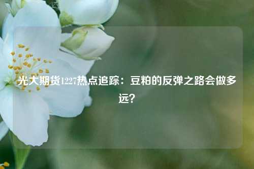 光大期货1227热点追踪：豆粕的反弹之路会做多远？