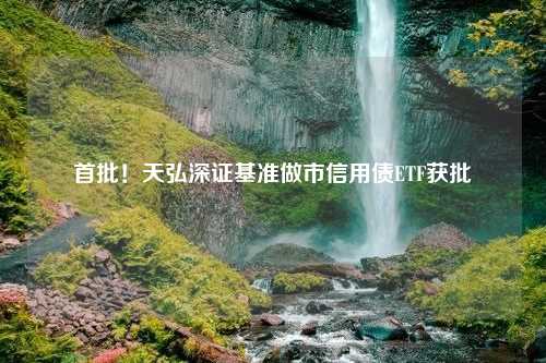 首批！天弘深证基准做市信用债ETF获批