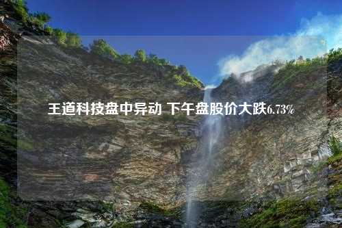 王道科技盘中异动 下午盘股价大跌6.73%