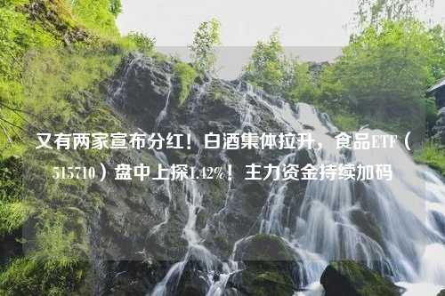 又有两家宣布分红！白酒集体拉升，食品ETF（515710）盘中上探1.42%！主力资金持续加码