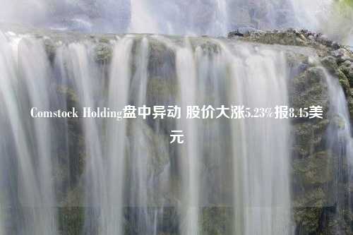 Comstock Holding盘中异动 股价大涨5.23%报8.45美元