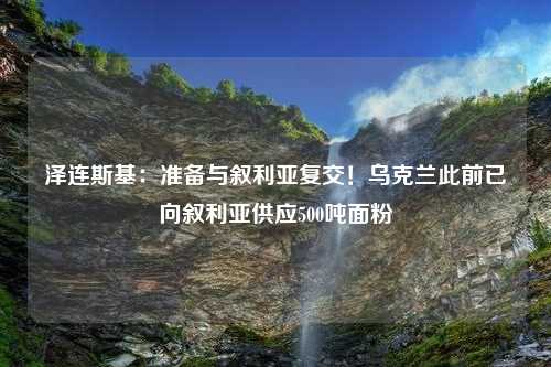 泽连斯基：准备与叙利亚复交！乌克兰此前已向叙利亚供应500吨面粉