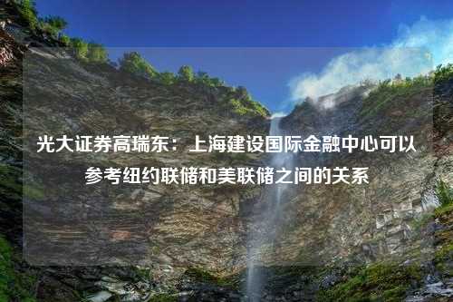 光大证券高瑞东：上海建设国际金融中心可以参考纽约联储和美联储之间的关系