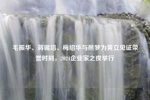 毛振华、蒋锡培、梅绍华与熊梦为黄立见证荣誉时刻，2024企业家之夜举行