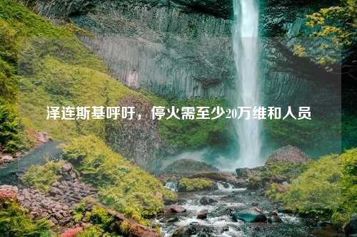 泽连斯基呼吁，停火需至少20万维和人员