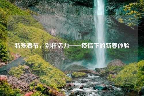 特殊春节，别样活力——疫情下的新春体验