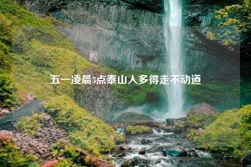 五一凌晨3点泰山人多得走不动道