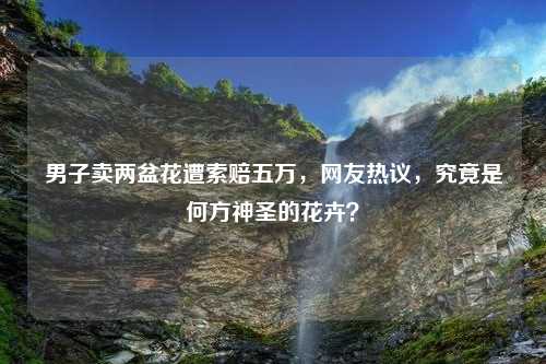 男子卖两盆花遭索赔五万，网友热议，究竟是何方神圣的花卉？