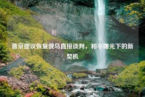 普京提议恢复俄乌直接谈判，和平曙光下的新契机
