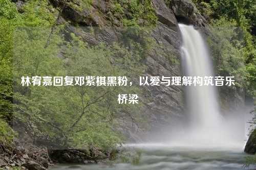 林宥嘉回复邓紫棋黑粉，以爱与理解构筑音乐桥梁