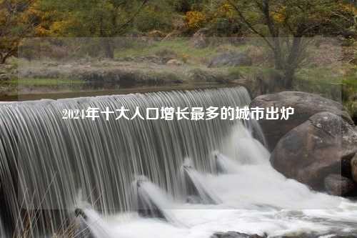 2024年十大人口增长最多的城市出炉