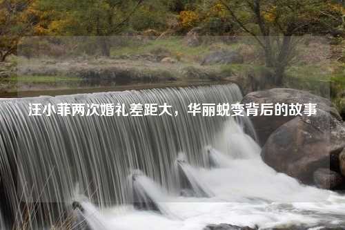 汪小菲两次婚礼差距大，华丽蜕变背后的故事
