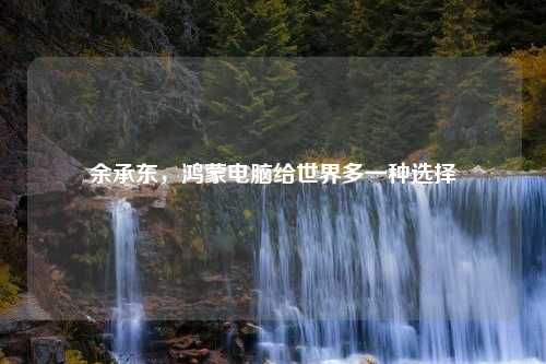 余承东，鸿蒙电脑给世界多一种选择