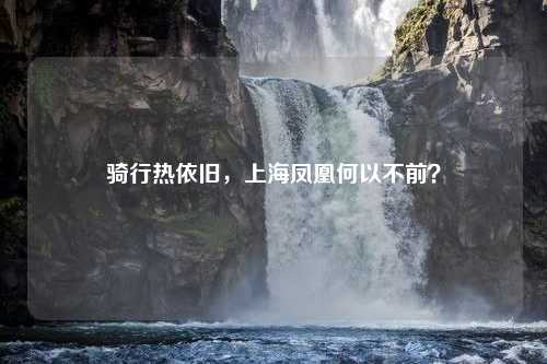 骑行热依旧，上海凤凰何以不前？