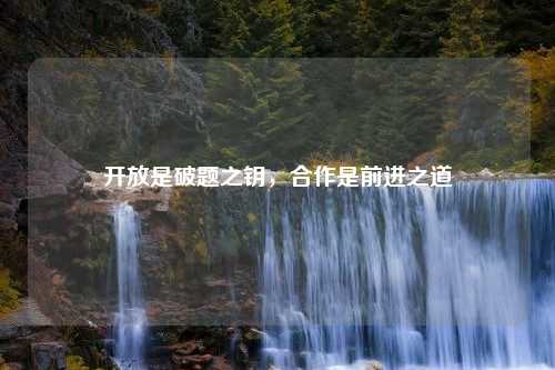 开放是破题之钥，合作是前进之道