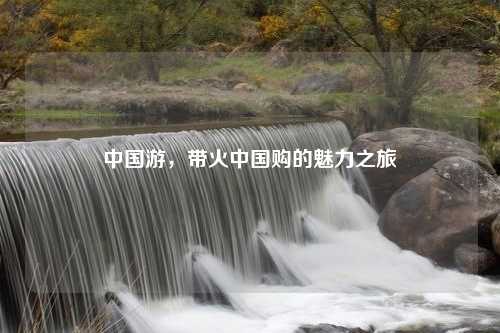 中国游，带火中国购的魅力之旅