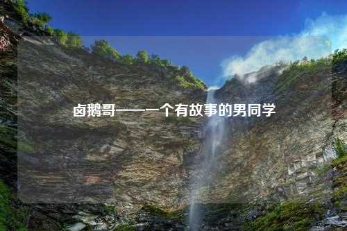 卤鹅哥——一个有故事的男同学